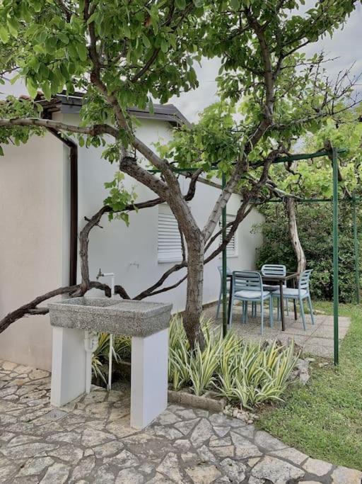 באסקה Sunny Grandma'S Garden Apartment מראה חיצוני תמונה